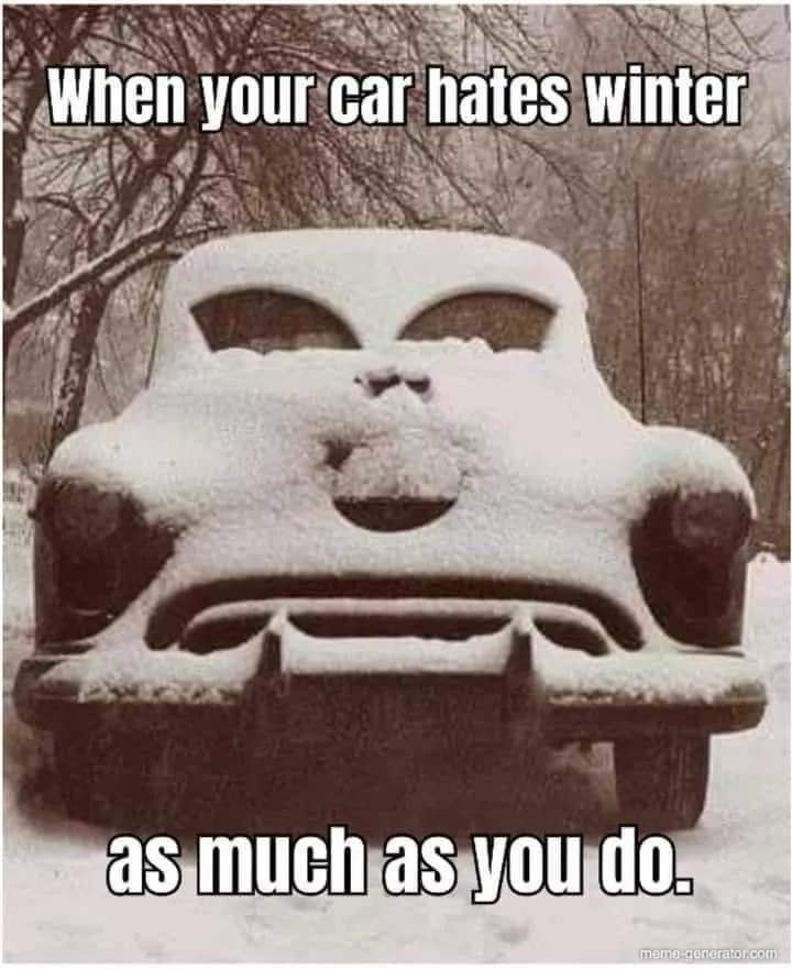 Cold Car